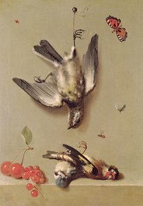 死んだ鳥とサクランボの静物、1712